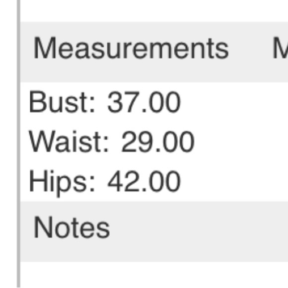 Anne Barge Foster Gown size 12 (tailored to between 10-12) - Picture 10 of 11